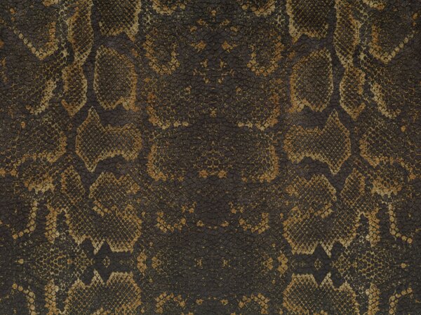 Wild cuscino in collezione Wild in microfibra impermeabile serpente ma