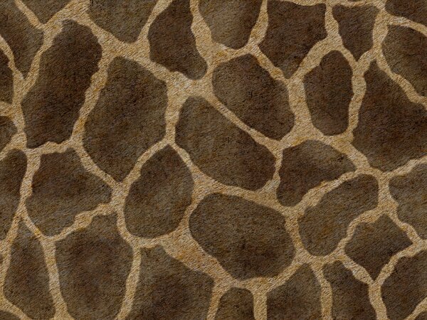 Wild cuscino in collezione Wild in microfibra impermeabile giraffa