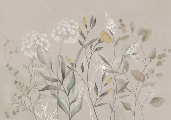 Carta da parati Composizione botanica nei toni caldi del beige, Carta da parati Buffer, w05154v2 : Uwalls.it