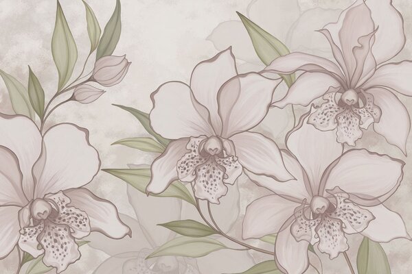 Carta da parati Illustrazione di orchidee pallide con foglie su sfondo beige, Carta da parati Floreale, w05117 : Uwalls.it