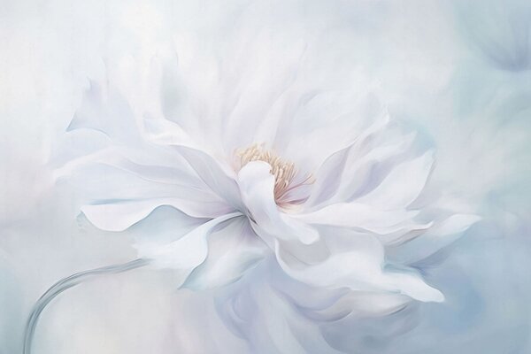 Carta da parati Fiore bianco morbido con petali fluenti su sfondo blu, Carta da parati Floreale, w05354 : Uwalls.it