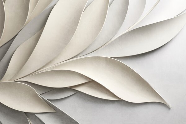 Carta da parati Foglie astratte in beige e grigio, arte moderna materica, Carta da parati 3D, w09769 : Uwalls.it