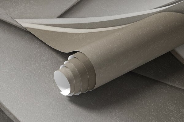Carta da parati Foglie astratte in beige e grigio, arte moderna materica, Carta da parati 3D, w09769 : Uwalls.it