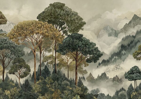 Carta da parati Foresta con alberi ad alto fusto tra montagne avvolte dalla nebbia, Carta da parati Natura, w05410 : Uwalls.it