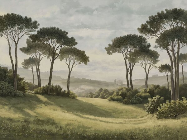 Carta da parati Paesaggio con alberi, prato e foschia in lontananza, Carta da parati Natura, w05122v1 : Uwalls.it