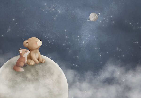 Carta da parati Illustrazione a pastello con orso e volpe sotto il cielo notturno, Carta da parati per Bambini, w05431 : Uwalls.it