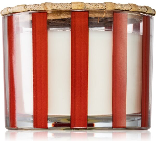 Paddywax Al Fresco Rosewood Vanilla candela profumata 340 g