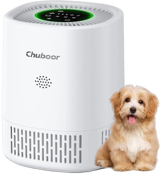 Purificatore d'aria, filtro HEPA H13, design compatto, colore bianco - Non dotato di Wi-Fi