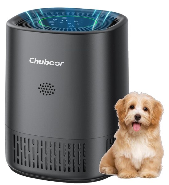 Purificatore d'aria, filtro HEPA H13, design compatto, colore nero - Non dotato di Wi-Fi