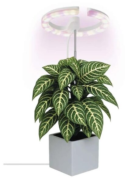 Lampada LED dimmerabile da interno per la coltivazione di piante GROW LED/8W/5V