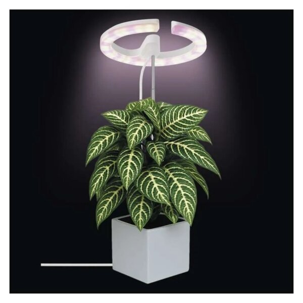 Lampada LED dimmerabile da interno per la coltivazione di piante GROW LED/8W/5V