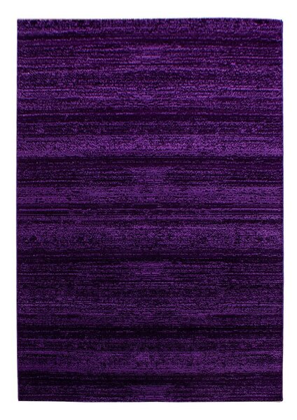 Tappeto viola scuro 80x150 cm Plus - Ayyildiz Carpets