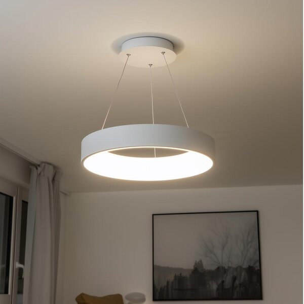 Brilagi - Lampadario LED dimmerabile a sospensione con cavo LED/40W/230V 3000-6500K bianco + telecomando