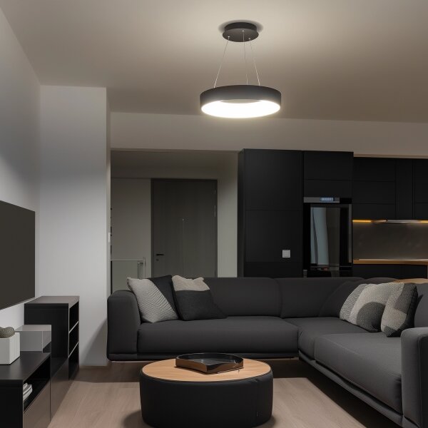 Brilagi - Lampadario LED Dimmerabile su corda LED/40W/230V 3000-6500K nero + TC