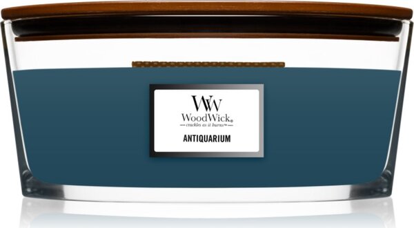 Woodwick Antiquarium candela profumata con stoppino in legno (hearthwick) 453 g