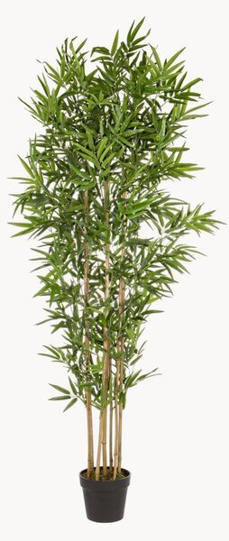 Set di 2 piante artificiali Bamboo II