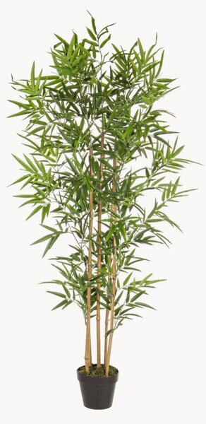 Set di 2 piante artificiali Bamboo