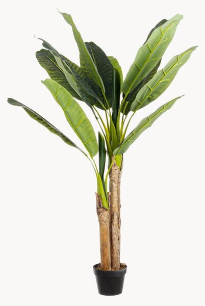 Set di 2 piante artificiali Banano