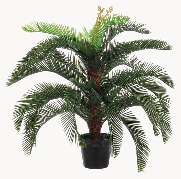 Pianta artificiale Palma Cycas