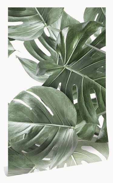 Carta da parati in tessuto non tessuto Monstera