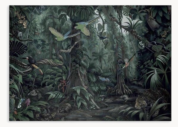 Carta da parati Tropical Landscapes