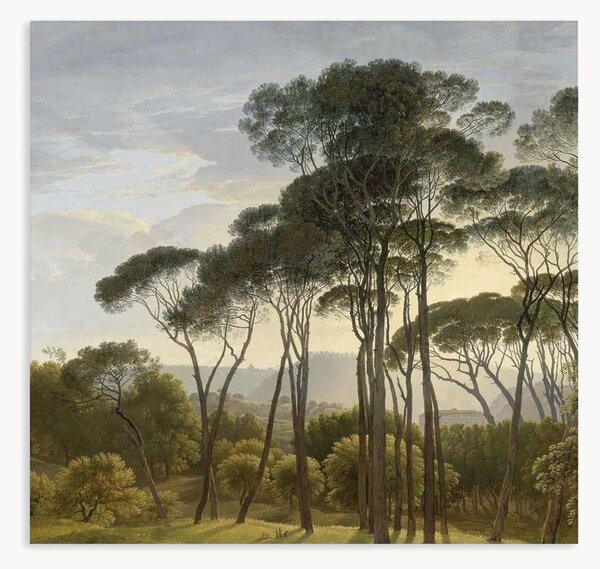 Carta da parati in tessuto non tessuto Golden Age Landscapes