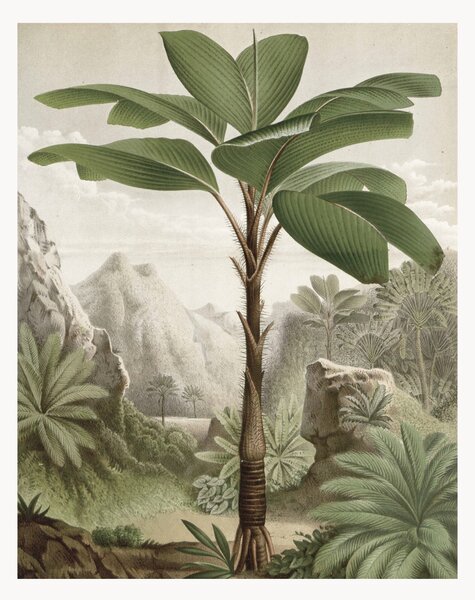 Carta da parati in tessuto non tessuto Banana Tree