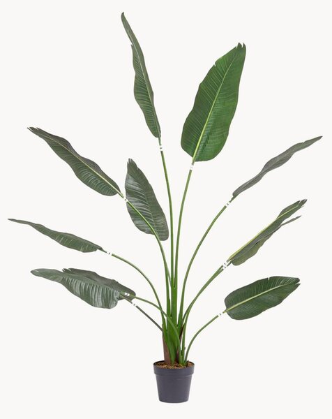 Pianta artificiale Strelitzia