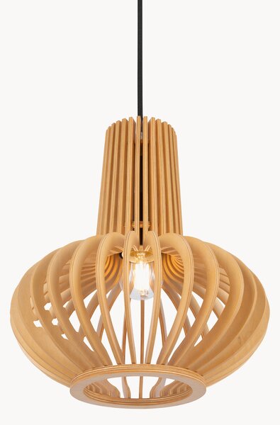 Lampada a sospensione Roots