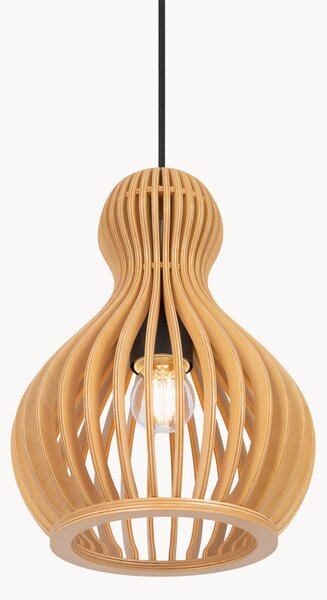 Lampada a sospensione Roots