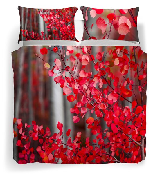 Copripiumino Con Federe MATRIMONIALE Autumn Passion UNICA Cotone Caleffi