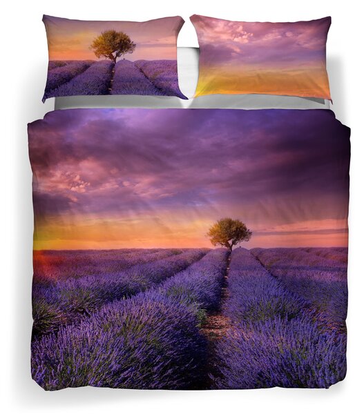 Copripiumino Con Federe MATRIMONIALE Lavender-sunset UNICA Cotone Caleffi