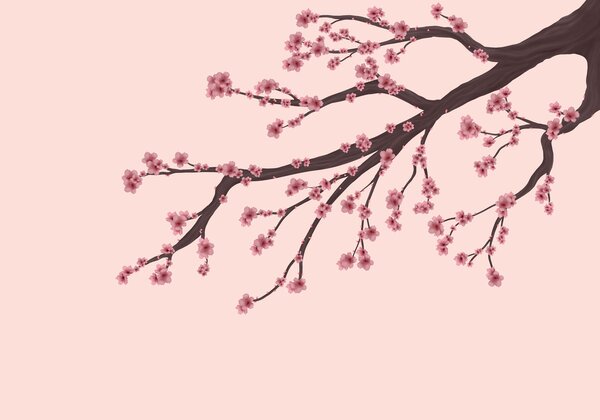 Carta da parati Ramo di albero con fiori rosa, Carta da parati Alberi, Carta da parati popolare, t00732 - Tapeko.it