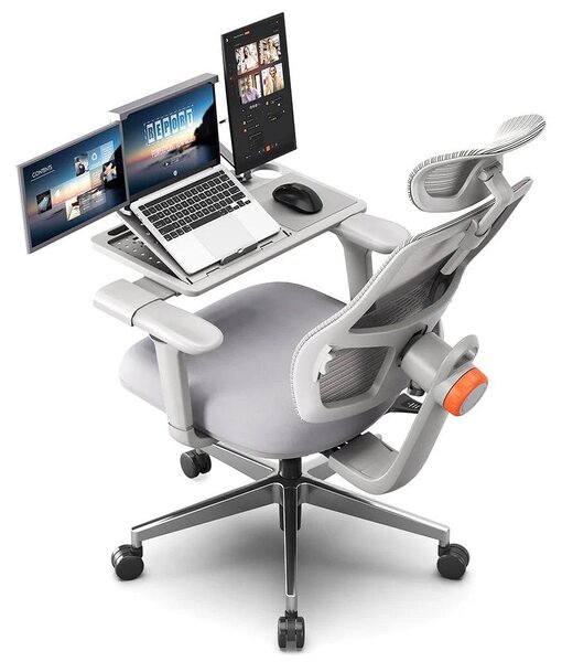 Sedia da ufficio ergonomica – Sedia da lavoro con supporto lombare regolabile e braccioli 3D