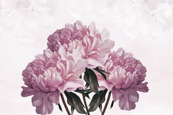 Carta da parati Peonie in fiore dai colori tenui, Carta da parati Floreale, Carta da parati popolare, w03545v1 - Tapeko.it