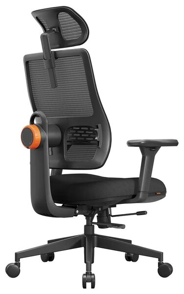 Sedia da ufficio ergonomica – Sedia da ufficio con supporto lombare automatico e struttura a rete