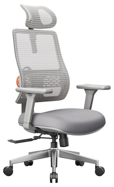 Sedia ergonomica da ufficio - Sedia da ufficio - Sedia da lavoro - Sedia da gaming - Sedia per il lavoro da casa - Supporto lombare regolabile