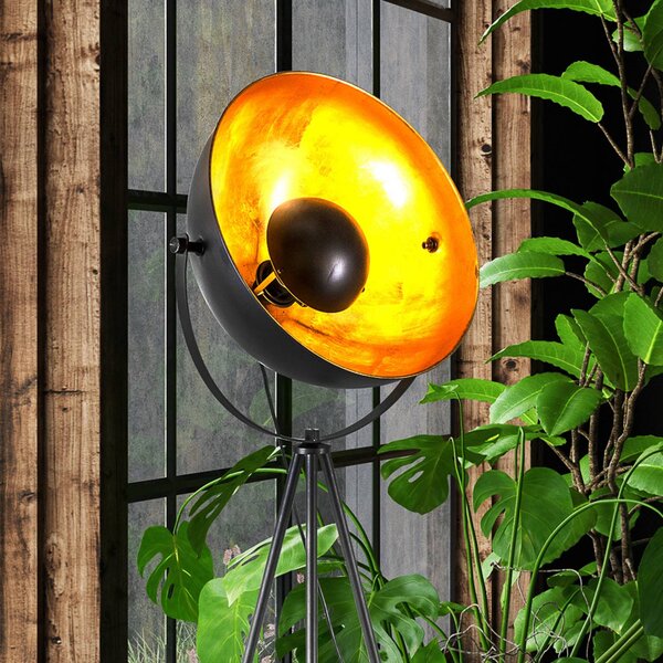 Globo Lampada da terra Timo, Nero, Soggiorno / Sala da pranzo, Metallo, Lampada da terra