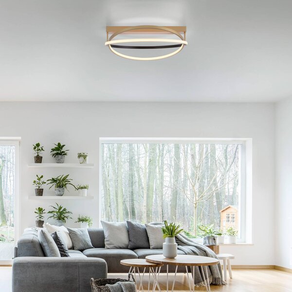 Q-Smart-Home Paul Neuhaus Q-Beluga plafoniera LED, ottone