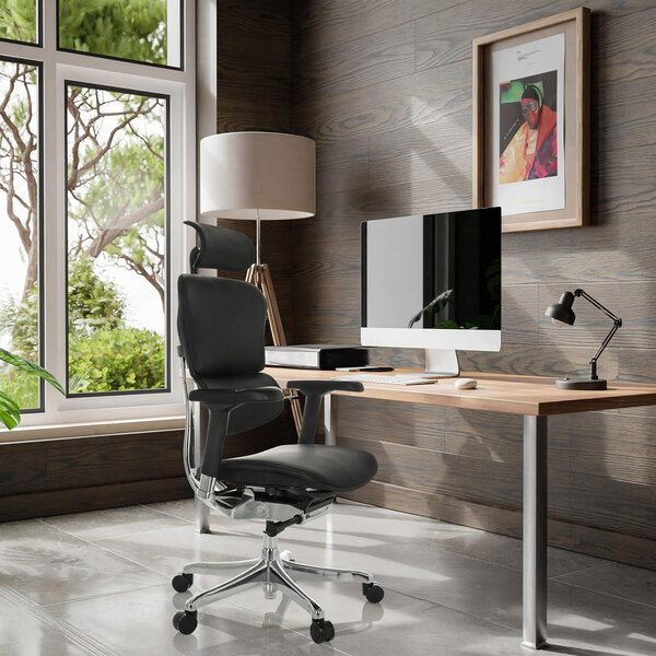 SEGGIO DA UFFICIO Ergohuman Gen2, design ergonomico, sedia da ufficio con supporto lombare flessibile, seduta imbottita, pelle nera