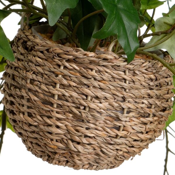 Piante artificiali in set da 2 (altezza 50 cm) - Casa Selección