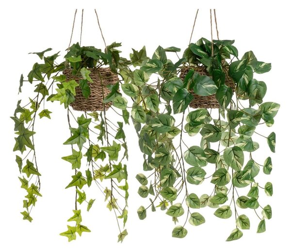 Piante artificiali in set da 2 (altezza 50 cm) - Casa Selección