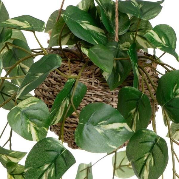 Piante artificiali in set da 2 (altezza 50 cm) - Casa Selección