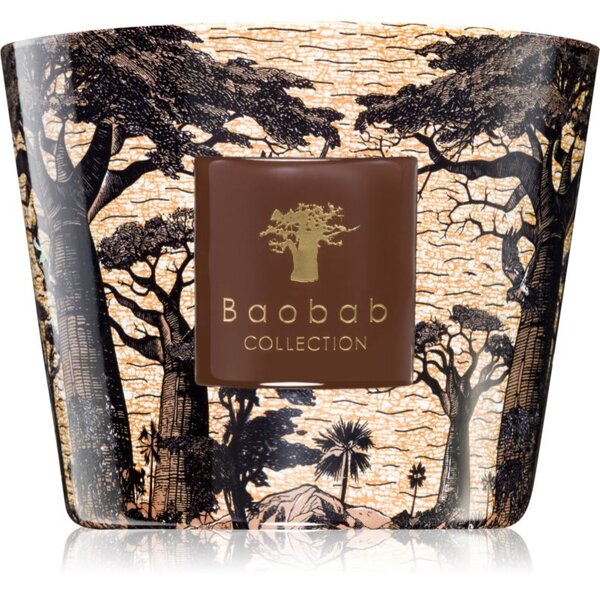 Baobab Collection Sacred Trees Mankono candela profumata 500 g