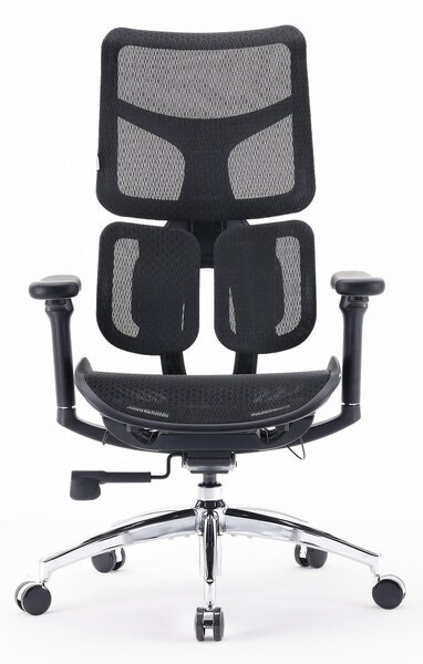 Sedia ergonomica da ufficio - Sedia da ufficio - Sedia da lavoro - Sedia per scrivania - Sedia per il lavoro da casa