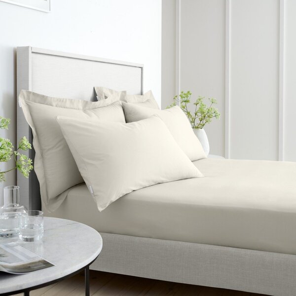 Federe per cuscino in set in percalle di cotone 2 pz 50x75 cm Cotton Percale – Bianca