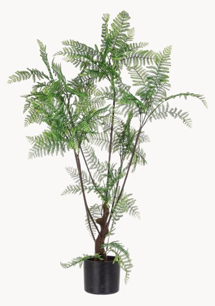 Pianta artificiale Fern