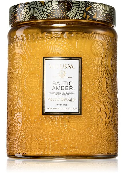 VOLUSPA Japonica Baltic Amber candela profumata 510 g