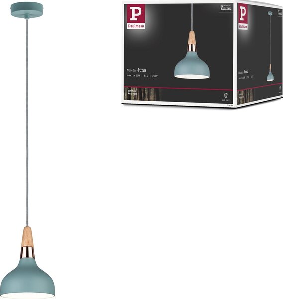 Paulmann Neordic lampada a sospensione Juna