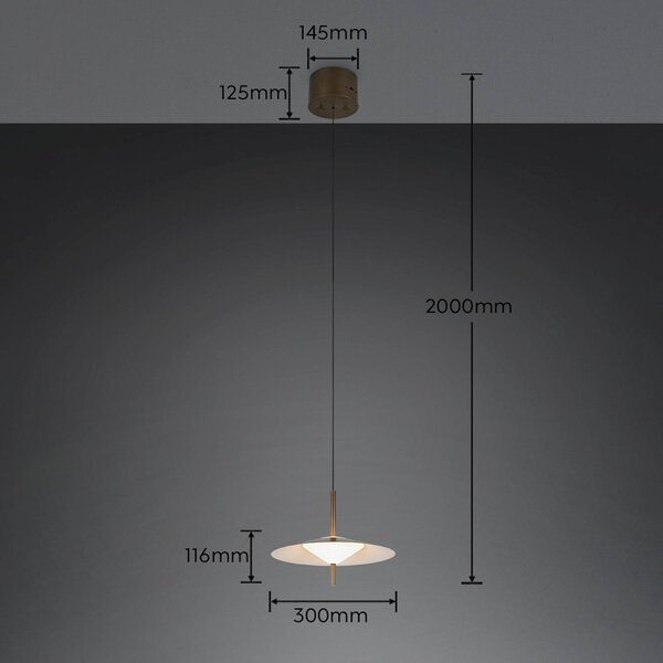 Trio Lighting Lampada a sospensione Amalo, dimmerabile, Alluminio / Grigio / Zincato, Soggiorno / Sala da pranzo, Metallo, Moderno, Lampada a sospensione